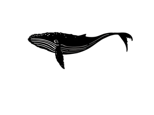 A laser-cut steel silhouette of a humpback whale, painted black, featuring detailed cuts to accentuate the whale's body and fins. The design includes a sturdy bracket for wall mounting and showcases the whale's iconic shape and form, with intricate details along the body and tail. Displayed on a white background.